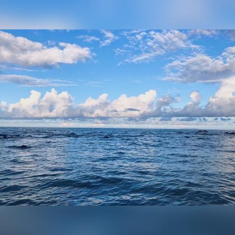 《绝地求生》波浪跳伞技巧解析：快速降落新攻略