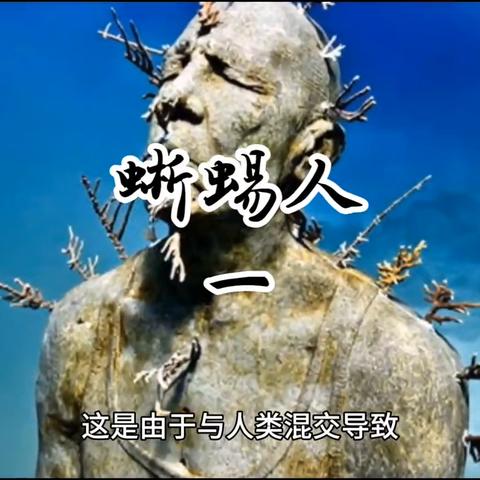 蜥蜴人经济解析：全面战争2地标财富新视角