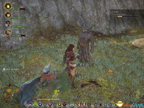 龙腾世纪审判全队友好度深度解析，解锁团队和谐新秘籍