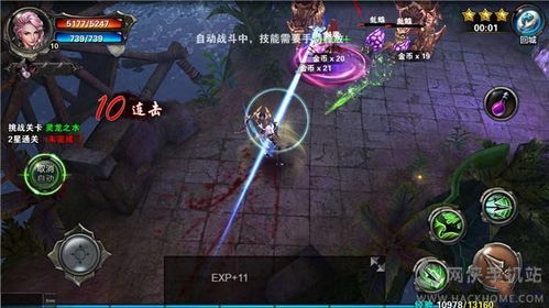 荆棘盾冲圣骑士BD攻略：S11全新构筑解析，打造极致输出