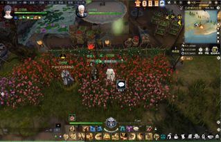 逆水寒奇遇攻略：全任务视频解析，轻松解锁新境界