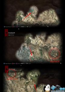 女巫秘境探秘：16世纪刺客传奇再现