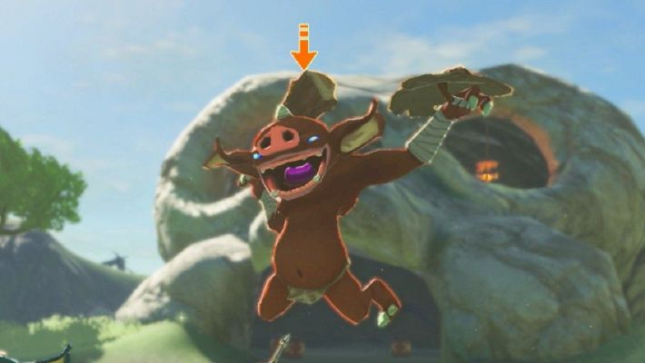 体验独特魅力！塞尔达传说荒野之息Mod籽岷游玩，趣味无限！