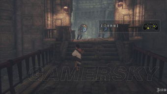 《最后的守护者》全桶攻略：解锁神秘宝藏秘籍大揭秘