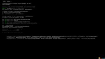 《看门狗2》全剧情攻略：深度解析任务流程图文揭秘