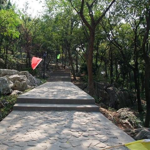 《口袋妖怪日月》岛屿全攻略：深度揭秘任务图文流程详解