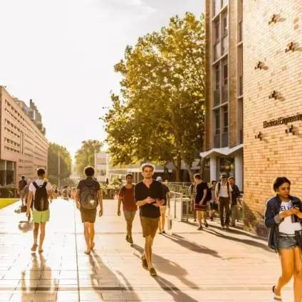 真人操控揭秘：澳洲聊天机器人惊现真实身份