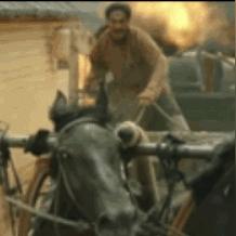 探寻刺客秘密，揭秘文艺复兴传奇