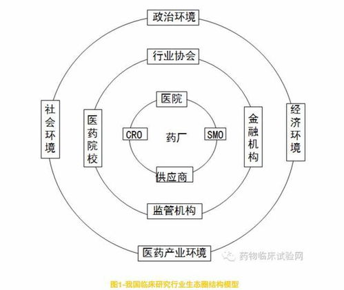 《复体》剧情深度解析：全流程攻略与实况解说新视角
