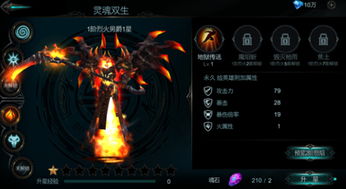 天堂之拳圣骑士BD攻略：S11独家构筑，BD流圣骑崛起秘籍