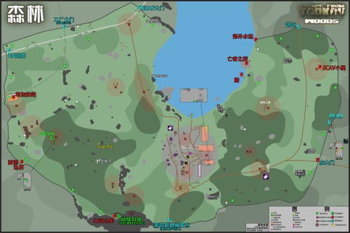 《塔科夫森林地图》资源分布攻略：高清点位解析新视角