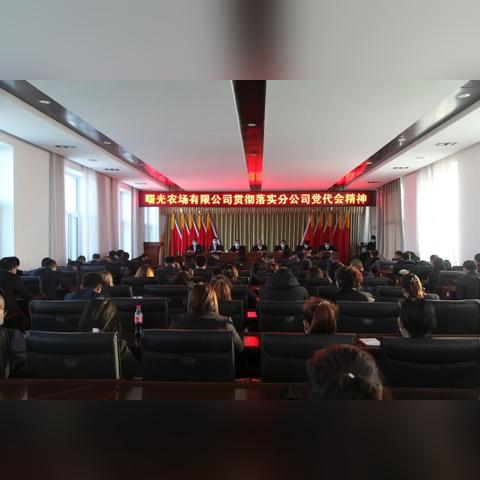 《怪物猎人崛起》曙光生存流片手秘籍，打造最强生存装备攻略