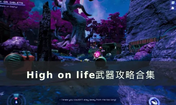 高效升级攻略：揭秘《High on Life》武器进阶秘籍