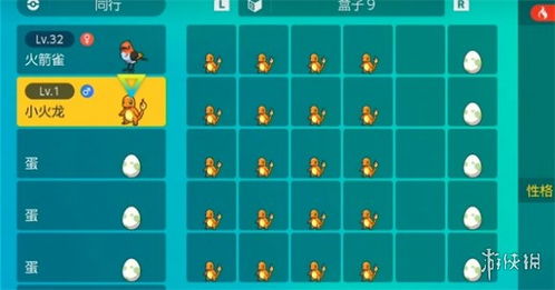 《宝可梦朱紫》高效孵蛋技巧，轻松解锁新宝可梦！