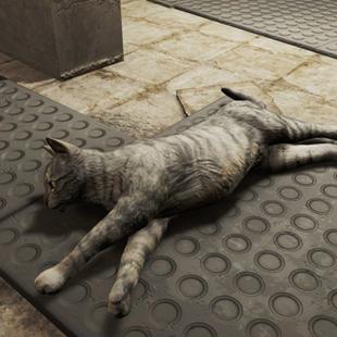 轻松掌握《辐射76》购买攻略，揭秘全新便捷购入方法