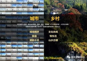 不规则地形PVE建筑技巧，陷阱材料攻略深度解析