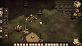 薇诺娜生存攻略：深度解析《饥荒》联机玩法技巧