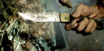 《生化7》疯人院小刀无伤攻略：揭秘全灭技巧新境界