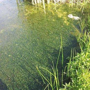 缺氧科技树深度解析：揭秘生存奥秘与进阶之道