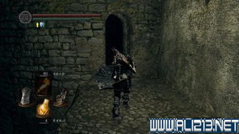 《黑暗之魂3》极限速杀全Boss攻略，揭秘多周目高效打法技巧