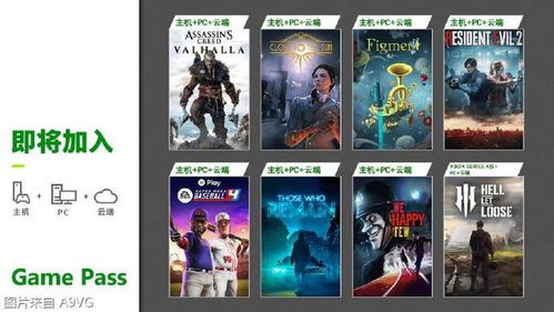 最新兑换秘籍揭晓：刺客信条英灵殿2025独家优惠码大放送