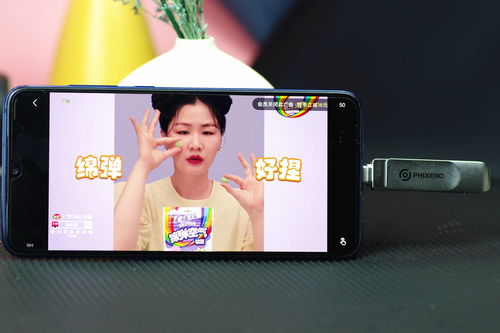 嘟嘟脸恶作剧游戏平台揭秘：手机/PC全适配新体验