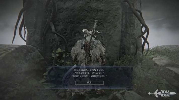 艾尔登法环黑夜君临隐士遗物揭秘，黑夜痕迹获取攻略解析