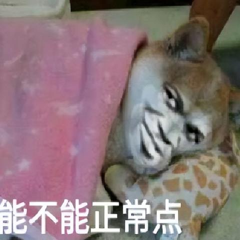 传奇永恒官网加载卡顿？2025独家提速秘籍助你爆肝不翻车！