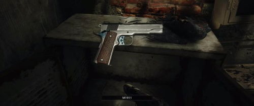 《生化危机8》保险箱密码揭秘：解锁财富之门新秘钥