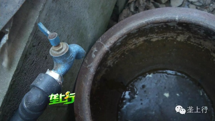 小区自来水变蓝真相揭晓，官方调查组全力追查源头