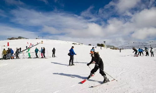 印度滑雪场初体验：游客惊呼雪仗都难打，迷你版惊艳亮相