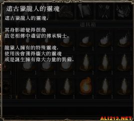 《黑暗之魂2原罪学者》全流程攻略深度解析，掌握核心技巧