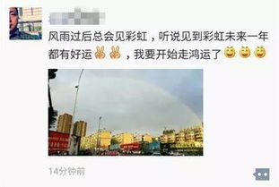 彩红岛终极秘技，2025年玩家如何一键解锁彩虹桥？