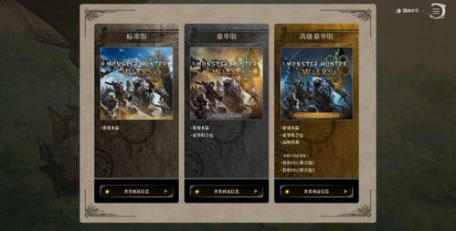 龙矢流配装攻略：深度解析《怪物猎人荒野》1.04新价值解析