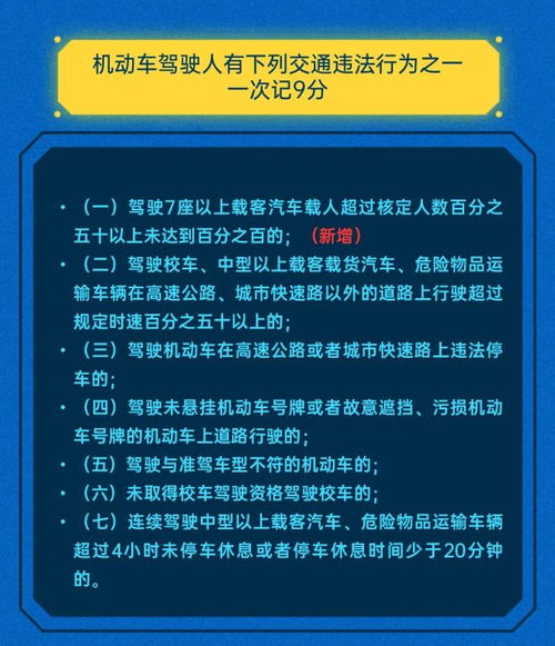 轻松提升好感度！燕子窝不扣分攻略大揭秘