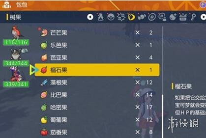 《宝可梦朱紫》S2双打洛杉矶队平衡攻略，深度解析新策略