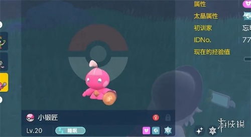 《宝可梦朱紫》黑暗鸦刷闪攻略：高效技巧解锁全新闪亮技能