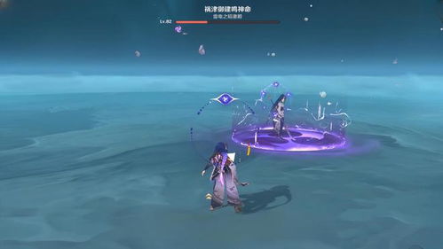 雷电将军强配队攻略：解锁元素反应新境界