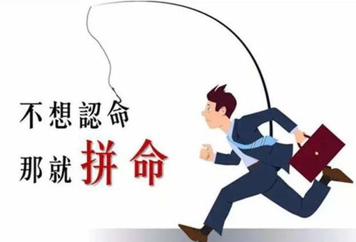 上海黄鱼面风波：探寻“最佳”背后的真相与价值