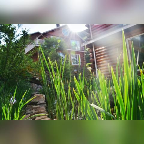 《我的世界》单人生存红石装置攻略：明月庄主独家教程，解锁生存新境界