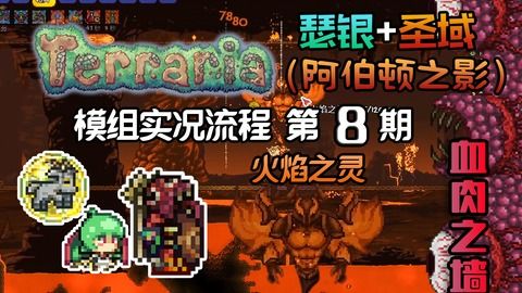 S11全光环肉圣骑Build攻略：打造极致输出圣骑新篇章