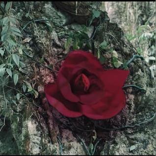 狂蟒之灾新篇：IGN低分揭秘，平庸叙事亟待革新