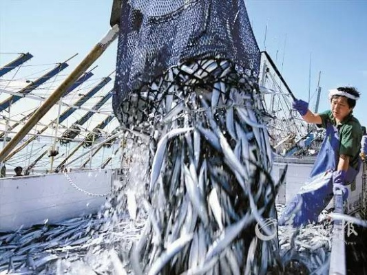 渔场管理为何总陷资源枯竭？顶级玩家用动态轮牧法破局