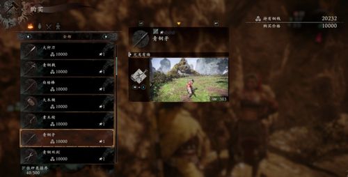 《卧龙苍天陨落》战斗精髓深度剖析，策略新解解锁！