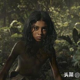 《森林之子》子弹上限突破攻略，解锁全新战斗潜能