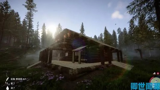 环岛基地速建攻略：揭秘《森林之子》高效建设新技巧