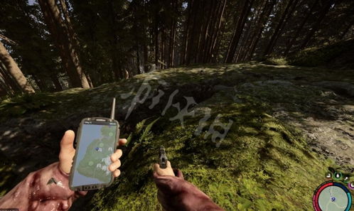 《森林之子》独家攻略：揭秘铲子藏匿与获取秘籍