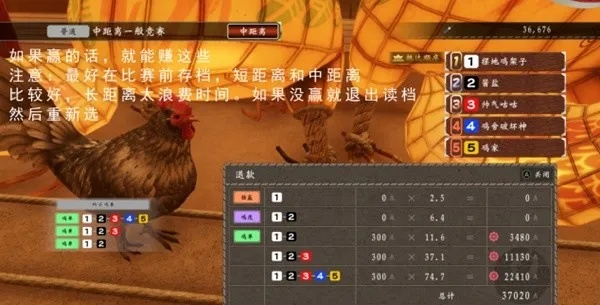 如龙维新极快速致富攻略：赛鸡赚钱新技巧揭秘