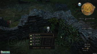 次世代版《巫师3》狮鹫学派套装图纸攻略，解锁神秘新技能！