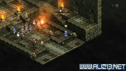 《皇家骑士团重生》物理职业攻略：揭秘最强战力选择秘籍